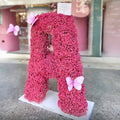 Gypsophil Letter – Pink